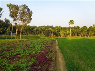 Bangladesh vejrudsigt