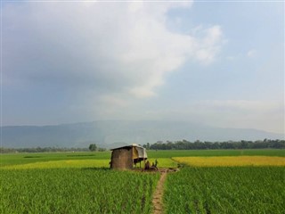 Bangladeş Hava tahmini