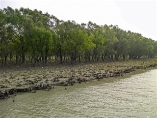 Bangladesh vejrudsigt