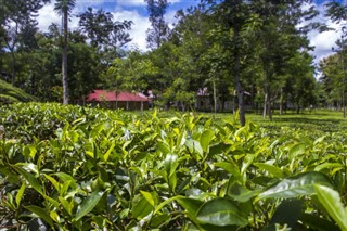 Bangladeş hava tahmini
