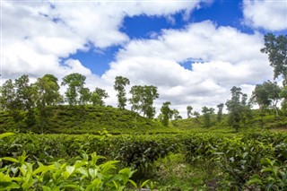 Banglades időjárás-jelentés