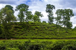Banglades időjárás-jelentés