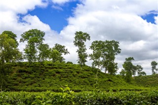 Banglades időjárás-jelentés