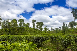 Bangladesh vejrudsigt