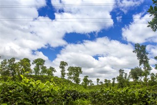 Bangladeş Hava tahmini