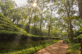Bangladesh vejrudsigt