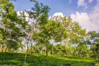 Bangladeş hava tahmini