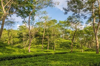 Bangladeş hava tahmini
