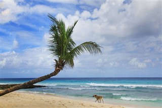 Barbados vejrudsigt