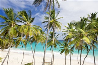 Barbados vejrudsigt