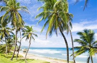 Barbados vejrudsigt