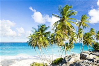 Barbados hava tahmini