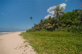 Barbados időjárás-jelentés