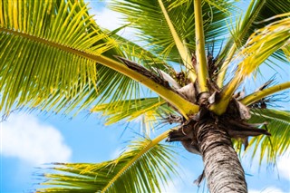 Barbados vejrudsigt