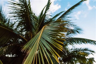 Barbados hava tahmini
