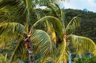 Barbados hava tahmini