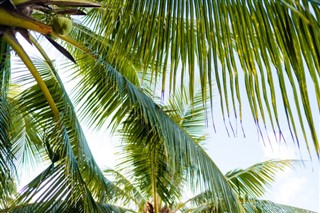 Barbados hava tahmini