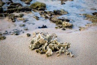 Barbados Hava tahmini