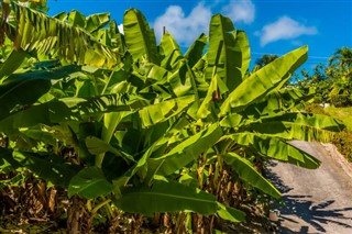 Barbados vejrudsigt
