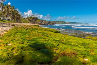 Barbados hava tahmini