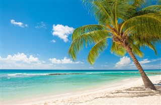 Barbados weather forecast