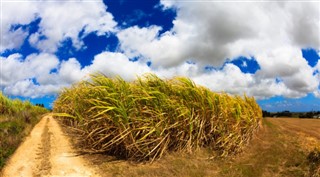 Barbados hava tahmini