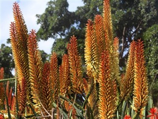 Barbados időjárás-jelentés
