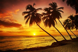 Barbados hava tahmini