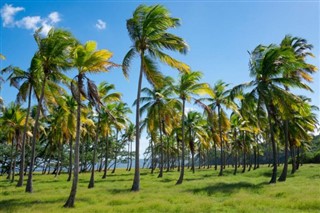Barbados weather forecast