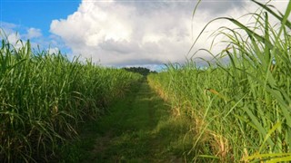 Barbados previsioni del tempo