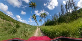 Barbados hava tahmini