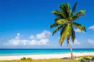 Barbados hava tahmini