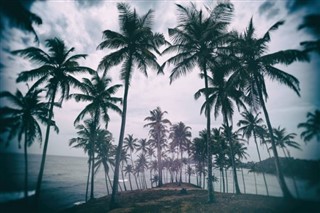 Barbados hava tahmini