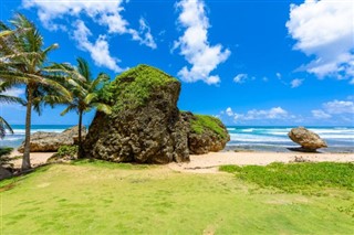 Barbados hava tahmini