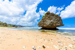 Barbados hava tahmini
