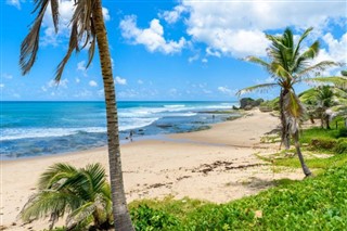 Barbados hava tahmini