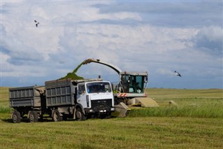 Belarus hava tahmini