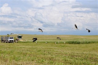 Belarus hava tahmini
