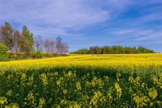 Hviderusland vejrudsigt