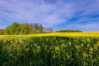 Belarús pronóstico del tiempo