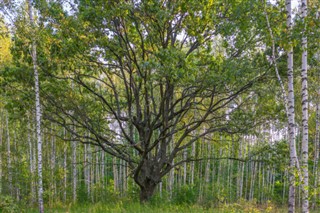 Hviderusland vejrudsigt
