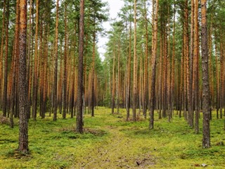Belarus hava tahmini