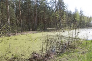 Belarus hava tahmini