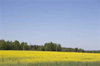 Hviderusland vejrudsigt