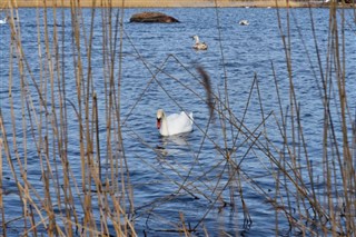 Hviderusland vejrudsigt