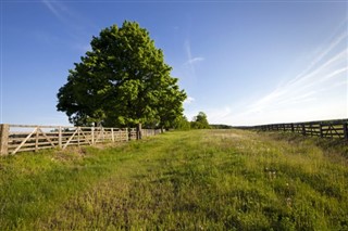 Hviderusland vejrudsigt