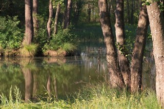 Hviderusland vejrudsigt
