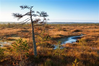 Hviderusland vejrudsigt