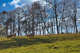 Belçika hava tahmini