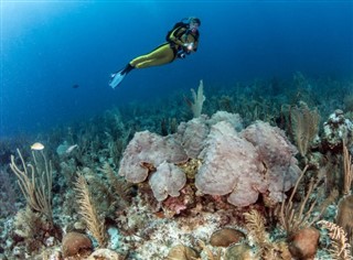 Belize vejrudsigt